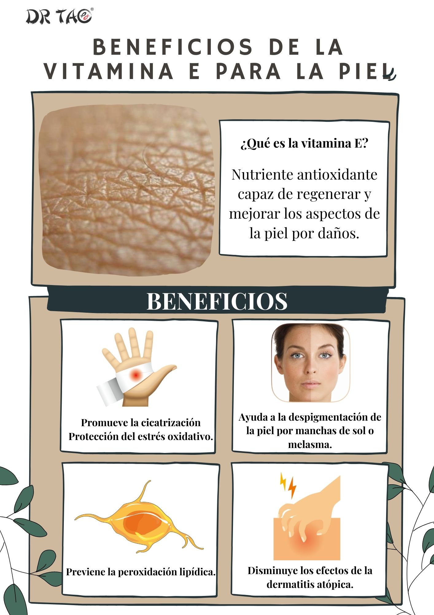 Beneficios De La Vitamina E Para La Piel DolceVit